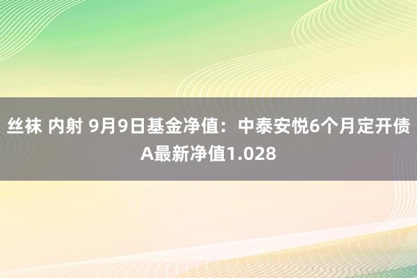 丝袜 内射 9月9日基金净值：中泰安悦6个月定开债A最新净值1.028