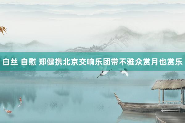 白丝 自慰 郑健携北京交响乐团带不雅众赏月也赏乐