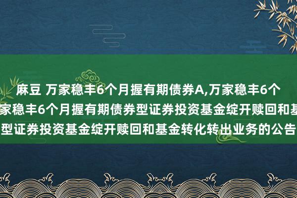 麻豆 万家稳丰6个月握有期债券A,万家稳丰6个月握有期债券C: 对于万家稳丰6个月握有期债券型证券投资基金绽开赎回和基金转化转出业务的公告