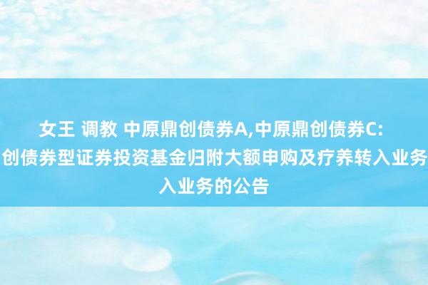 女王 调教 中原鼎创债券A,中原鼎创债券C: 中原鼎创债券型证券投资基金归附大额申购及疗养转入业务的公告