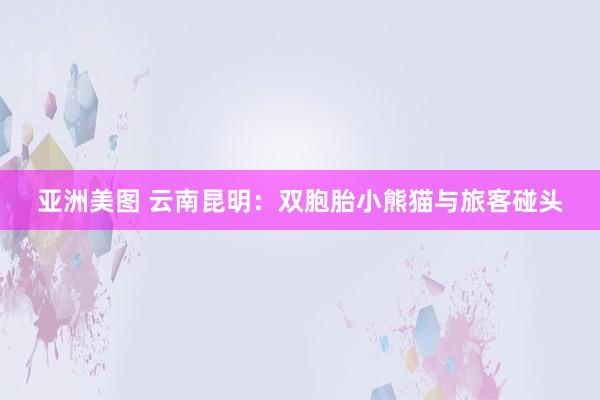 亚洲美图 云南昆明:双胞胎小熊猫与旅客碰头