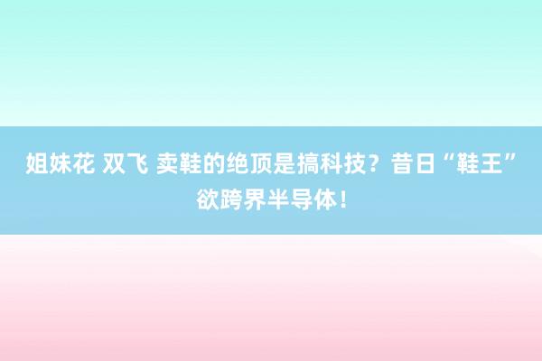 姐妹花 双飞 卖鞋的绝顶是搞科技？昔日“鞋王”欲跨界半导体！