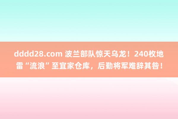 dddd28.com 波兰部队惊天乌龙！240枚地雷“流浪”至宜家仓库，后勤将军难辞其咎！