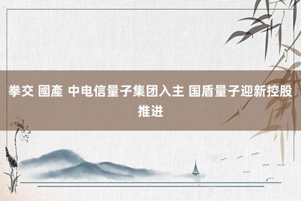 拳交 國產 中电信量子集团入主 国盾量子迎新控股推进