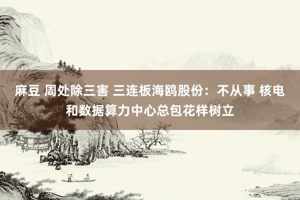 麻豆 周处除三害 三连板海鸥股份：不从事 核电和数据算力中心总包花样树立