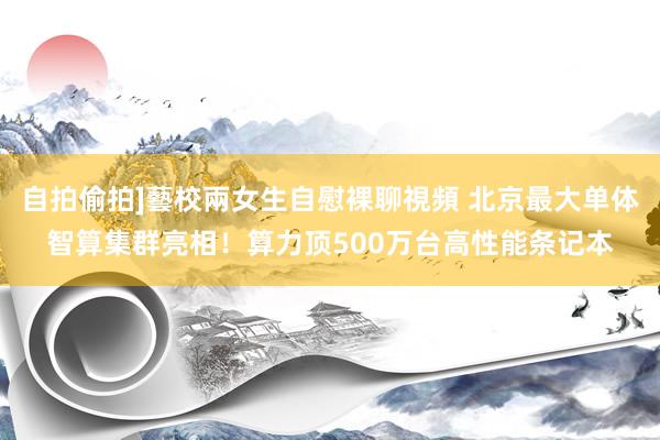 自拍偷拍]藝校兩女生自慰裸聊視頻 北京最大单体智算集群亮相！算力顶500万台高性能条记本