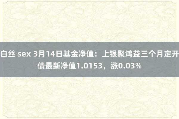 白丝 sex 3月14日基金净值：上银聚鸿益三个月定开债最新净值1.0153，涨0.03%
