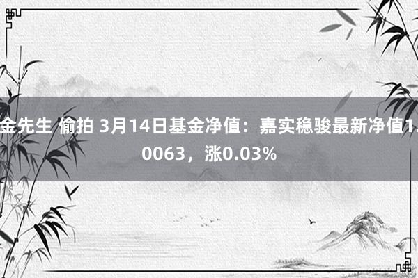 金先生 偷拍 3月14日基金净值：嘉实稳骏最新净值1.0063，涨0.03%