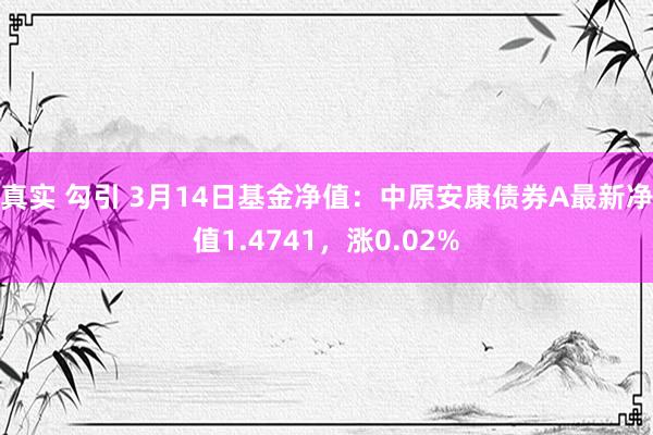 真实 勾引 3月14日基金净值：中原安康债券A最新净值1.4741，涨0.02%