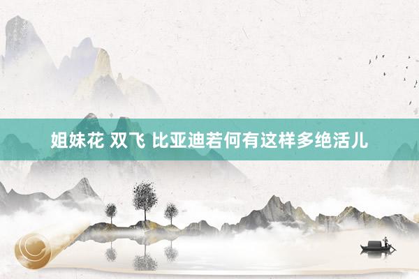 姐妹花 双飞 比亚迪若何有这样多绝活儿