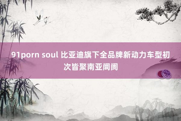 91porn soul 比亚迪旗下全品牌新动力车型初次皆聚南亚阛阓