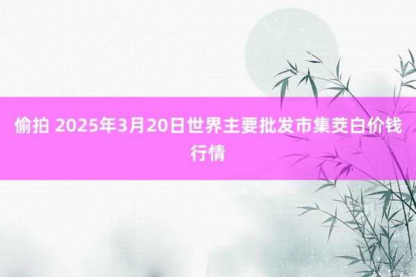 偷拍 2025年3月20日世界主要批发市集茭白价钱行情