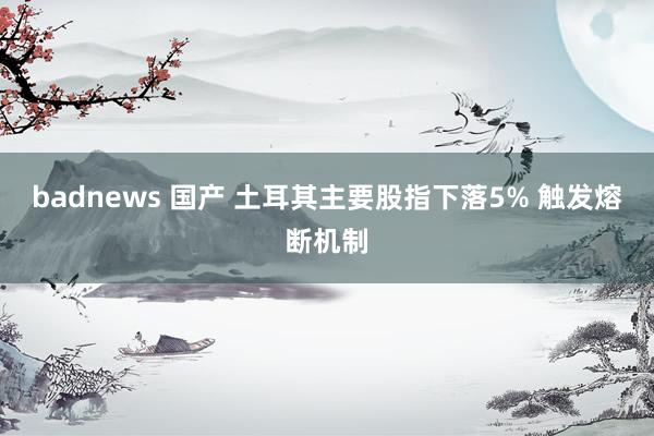 badnews 国产 土耳其主要股指下落5% 触发熔断机制