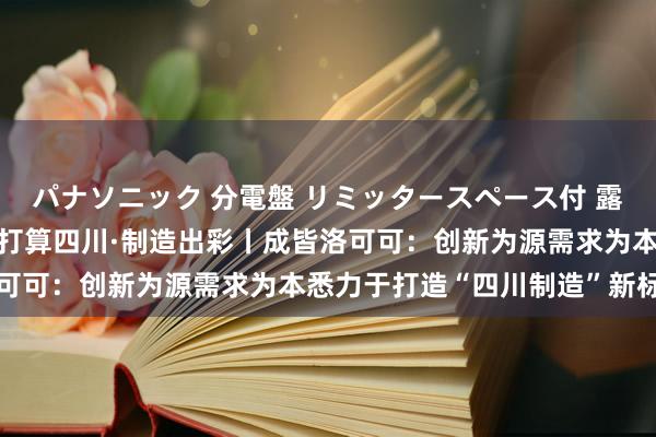 パナソニック 分電盤 リミッタースペース付 露出・半埋込両用形 揣摸打算四川·制造出彩丨成皆洛可可：创新为源需求为本悉力于打造“四川制造”新标杆