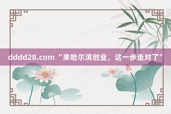 dddd28.com “来哈尔滨创业，这一步走对了”