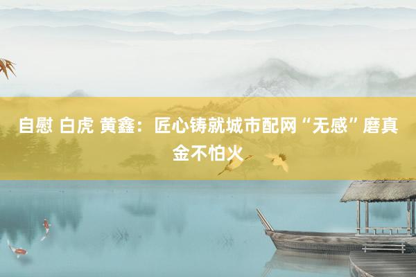 自慰 白虎 黄鑫：匠心铸就城市配网“无感”磨真金不怕火