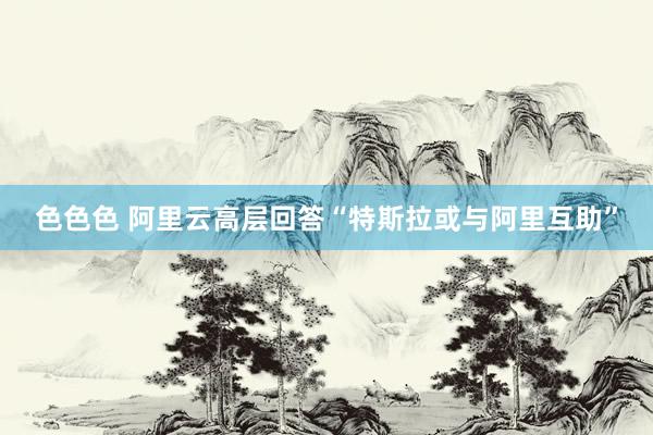 色色色 阿里云高层回答“特斯拉或与阿里互助”