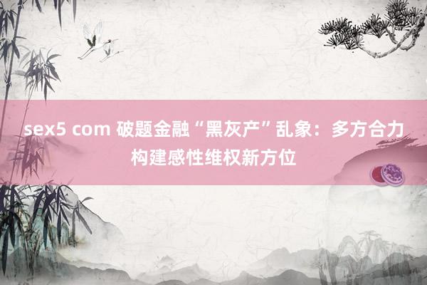 sex5 com 破题金融“黑灰产”乱象：多方合力构建感性维权新方位