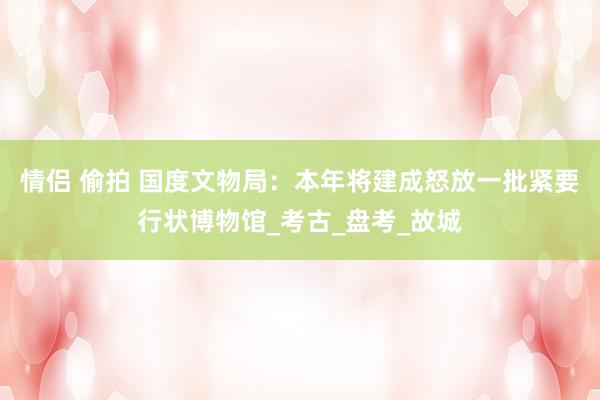 情侣 偷拍 国度文物局：本年将建成怒放一批紧要行状博物馆_考古_盘考_故城
