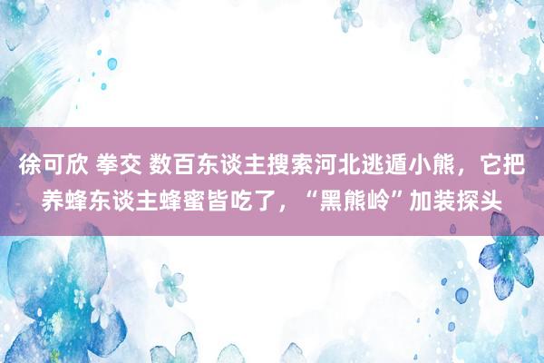 徐可欣 拳交 数百东谈主搜索河北逃遁小熊，它把养蜂东谈主蜂蜜皆吃了，“黑熊岭”加装探头