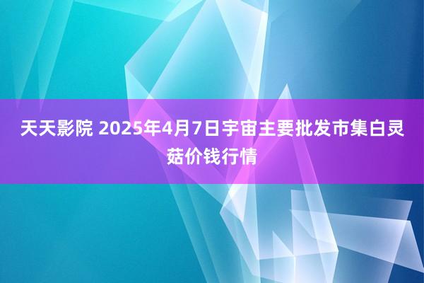 天天影院 2025年4月7日宇宙主要批发市集白灵菇价钱行情