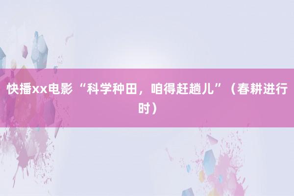 快播xx电影 “科学种田，咱得赶趟儿”（春耕进行时）