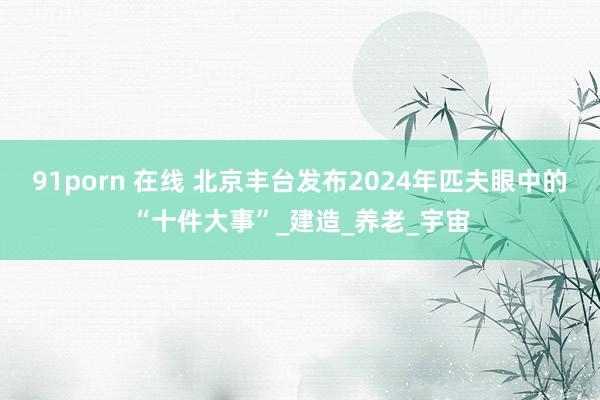 91porn 在线 北京丰台发布2024年匹夫眼中的“十件大事”_建造_养老_宇宙