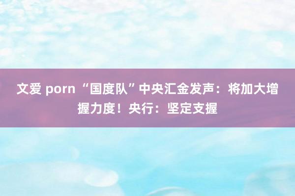 文爱 porn “国度队”中央汇金发声：将加大增握力度！央行：坚定支握