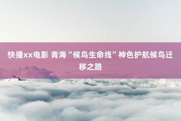 快播xx电影 青海“候鸟生命线”神色护航候鸟迁移之路