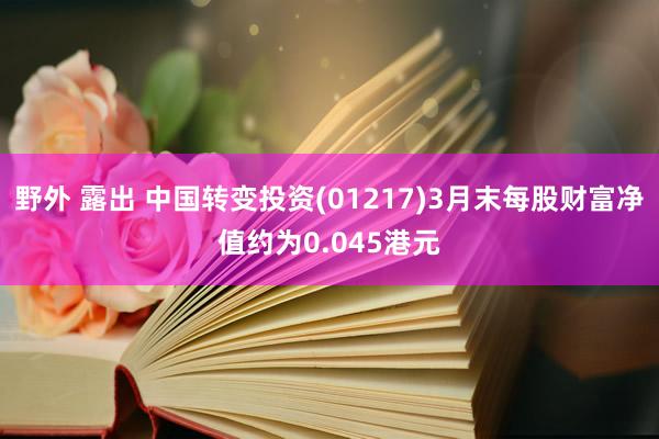 野外 露出 中国转变投资(01217)3月末每股财富净值约为0.045港元