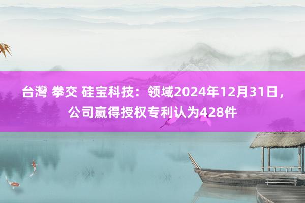 台灣 拳交 硅宝科技：领域2024年12月31日，公司赢得授权专利认为428件
