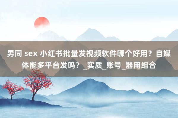 男同 sex 小红书批量发视频软件哪个好用？自媒体能多平台发吗？_实质_账号_器用组合