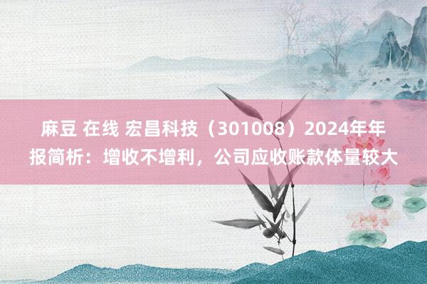 麻豆 在线 宏昌科技（301008）2024年年报简析：增收不增利，公司应收账款体量较大