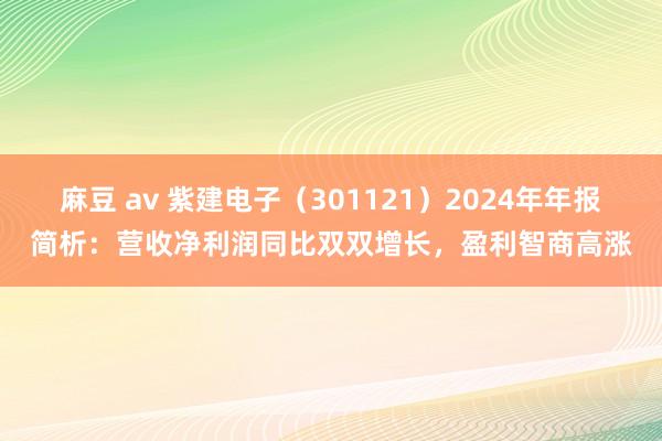 麻豆 av 紫建电子（301121）2024年年报简析：营收净利润同比双双增长，盈利智商高涨
