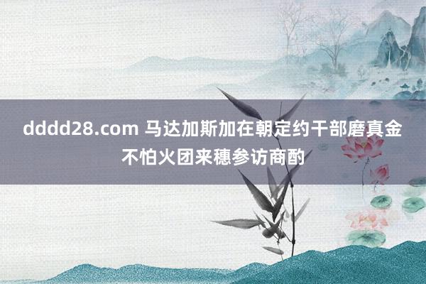 dddd28.com 马达加斯加在朝定约干部磨真金不怕火团来穗参访商酌