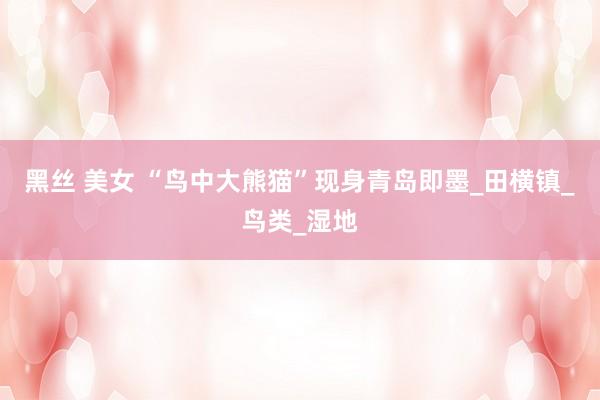 黑丝 美女 “鸟中大熊猫”现身青岛即墨_田横镇_鸟类_湿地