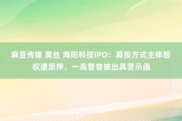 麻豆传媒 黑丝 海阳科技IPO：募投方式主体股权遭质押，一高管曾被出具警示函