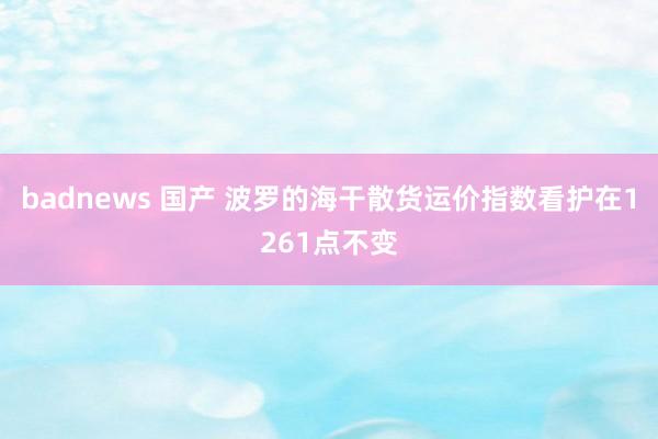 badnews 国产 波罗的海干散货运价指数看护在1261点不变