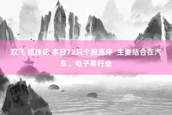 双飞 姐妹花 本日72只个股涨停  主要结合在汽车、电子等行业