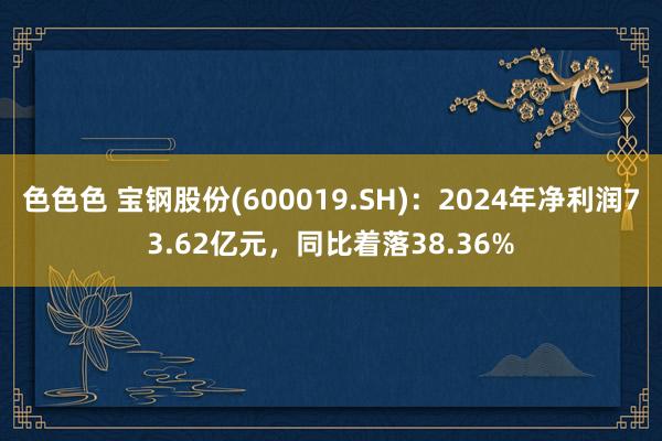 色色色 宝钢股份(600019.SH)：2024年净利润73.62亿元，同比着落38.36%