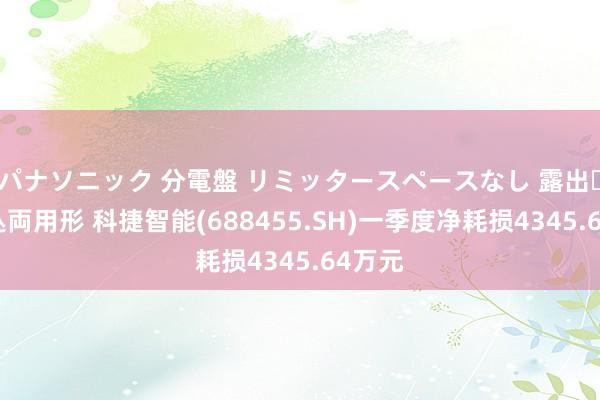 パナソニック 分電盤 リミッタースペースなし 露出・半埋込両用形 科捷智能(688455.SH)一季度净耗损4345.64万元